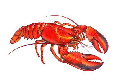 Imagen PNG para descargar